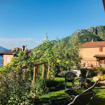 Agriturismo Botton D'Oro Донґо Екстер'єр фото