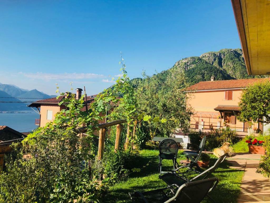 Agriturismo Botton D'Oro Донґо Екстер'єр фото